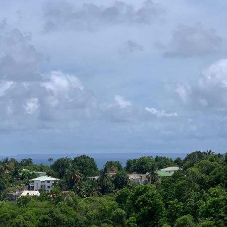 Les Villas Du Bambou - Appartement Azul De 1 A 3 Pers Le Gosier  Bagian luar foto